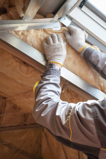 Best Spray Foam Insulation  in Woodland Beach, MI